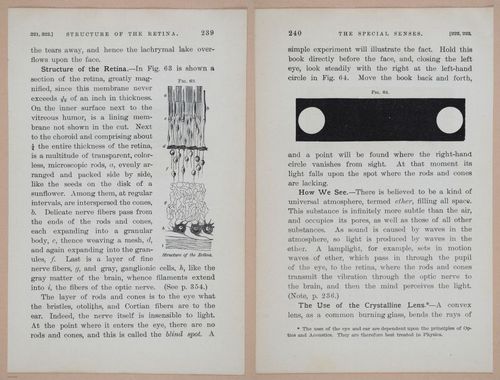 E311 - Hygienic Physiology - i8464-8465