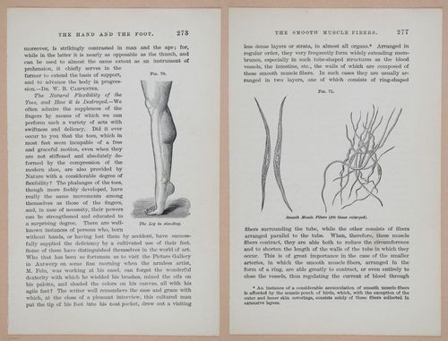 E311 - Hygienic Physiology - i8472-8473