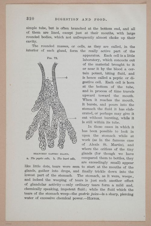 E311 - Hygienic Physiology - i8475