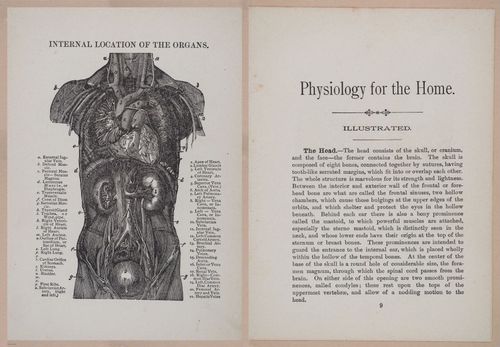 E319 - The Cottage Physician - i8921-8923