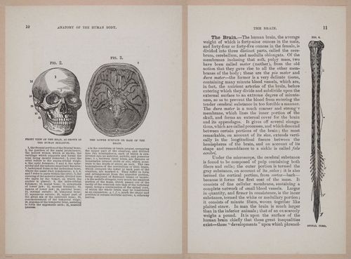 E319 - The Cottage Physician - i8924-8925