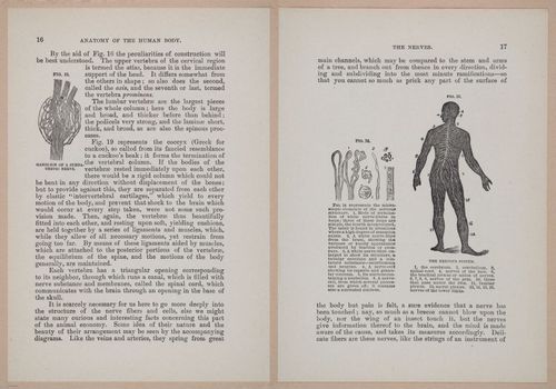 E319 - The Cottage Physician - i8930-8931