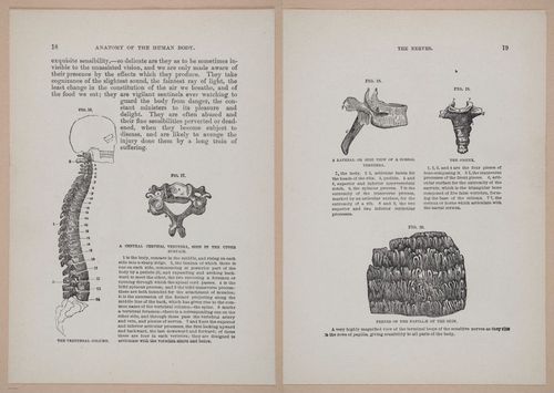E319 - The Cottage Physician - i8932-8933