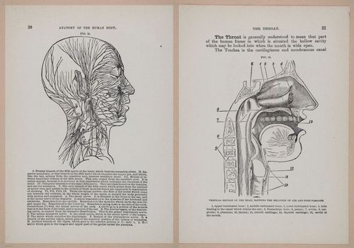 E319 - The Cottage Physician - i8934-8935