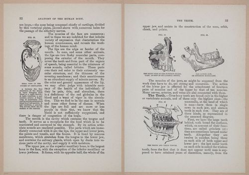 E319 - The Cottage Physician - i8946-8947