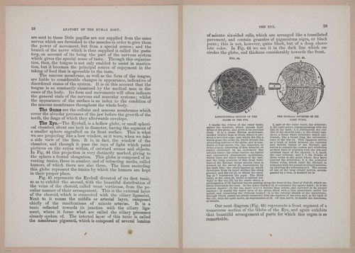 E319 - The Cottage Physician - i8952-8953