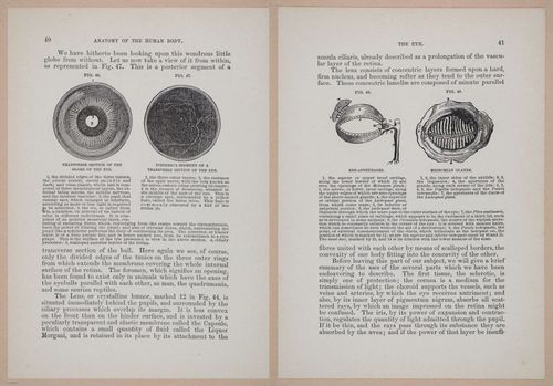 E319 - The Cottage Physician - i8954-8955