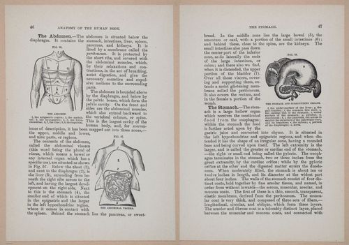 E319 - The Cottage Physician - i8960-8961