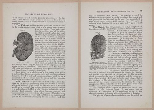 E319 - The Cottage Physician - i8968-8969
