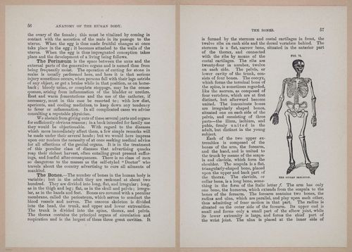 E319 - The Cottage Physician - i8970-8971
