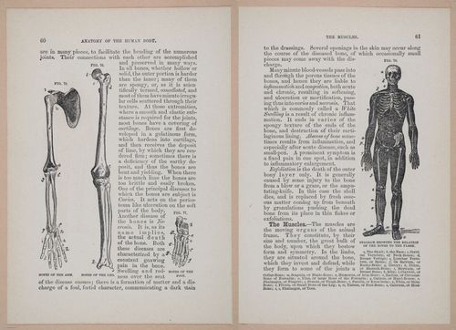 E319 - The Cottage Physician - i8974-8975