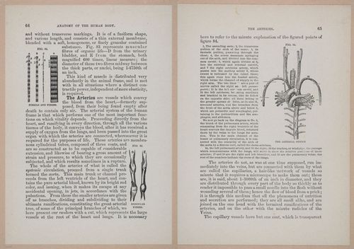 E319 - The Cottage Physician - i8980-8981