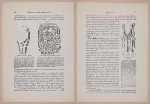 E319 - The Cottage Physician - i8982-8983