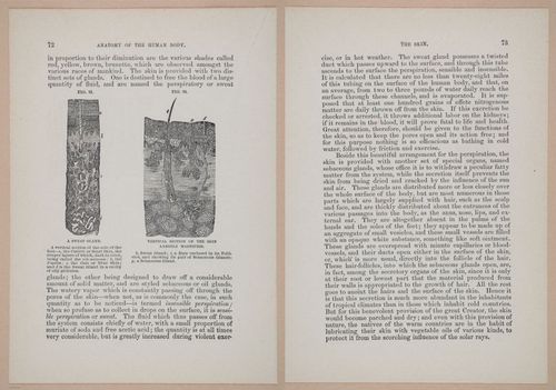 E319 - The Cottage Physician - i8988-8989