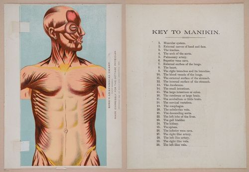 E319 - The Cottage Physician - i8909-8922