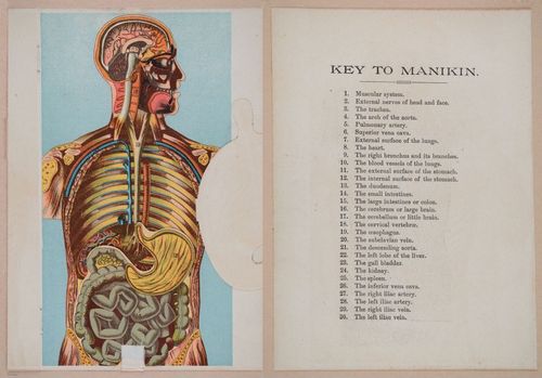 E319 - The Cottage Physician - i8912-8922