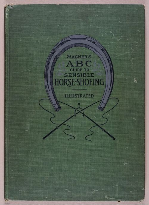 E318 - Sensible Horshoeing - i8791
