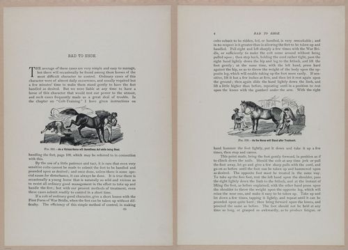 E318 - Sensible Horshoeing - i8662 - 8663