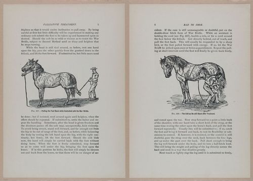 E318 - Sensible Horshoeing - i8664 - 8665