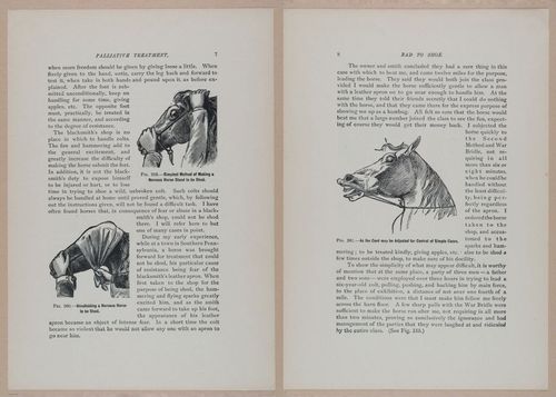 E318 - Sensible Horshoeing - i8666 - 8667
