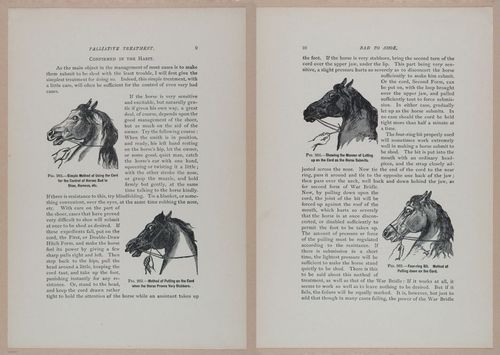 E318 - Sensible Horshoeing - i8668 - 8669