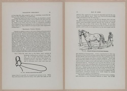 E318 - Sensible Horshoeing - i8670 - 8671