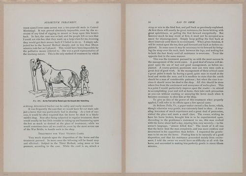 E318 - Sensible Horshoeing - i8672 - 8673