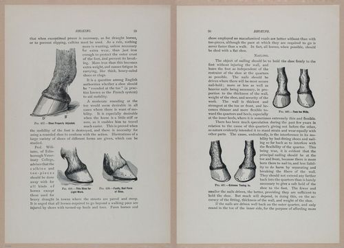E318 - Sensible Horshoeing - i8688 - 8689
