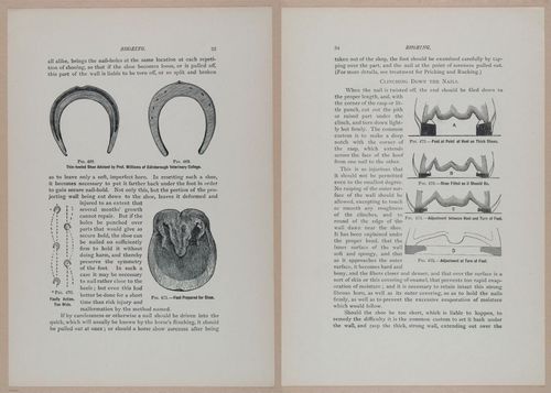 E318 - Sensible Horshoeing - i8692 - 8693