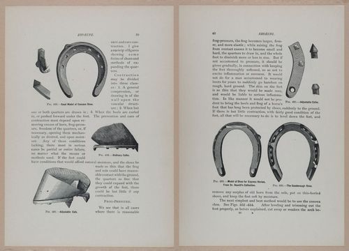 E318 - Sensible Horshoeing - i8699 - 8700