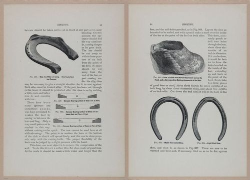 E318 - Sensible Horshoeing - i8703 - 8704