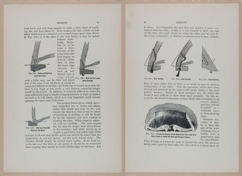 E318 - Sensible Horshoeing - i8705 - 8706