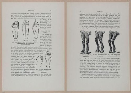 E318 - Sensible Horshoeing - i8707 - 8708