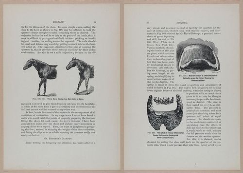 E318 - Sensible Horshoeing - i8709 - 8710