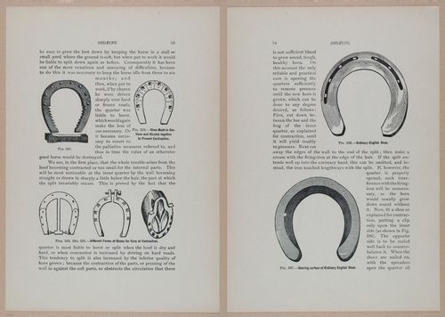 E318 - Sensible Horshoeing - i8713 - 8714