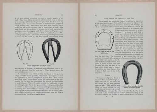 E318 - Sensible Horshoeing - i8715 - 8716