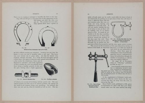 E318 - Sensible Horshoeing - i8719 - 8720