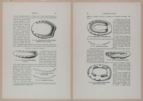 E318 - Sensible Horshoeing - i8729 - 8730