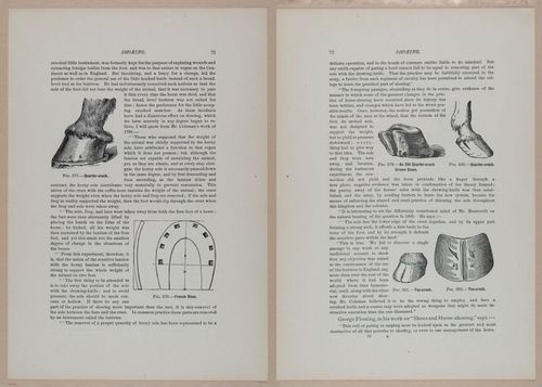 E318 - Sensible Horshoeing - i8731 - 8732
