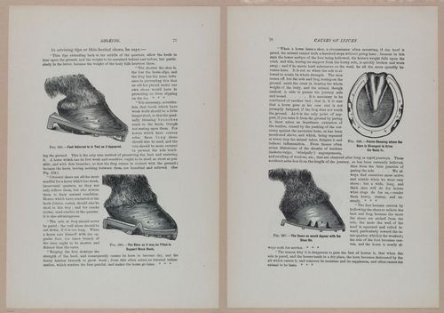 E318 - Sensible Horshoeing - i8737 - 8738