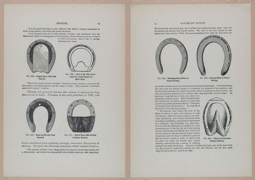 E318 - Sensible Horshoeing - i8739 - 8740