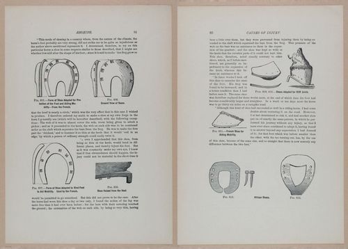E318 - Sensible Horshoeing - i8741 - 8742