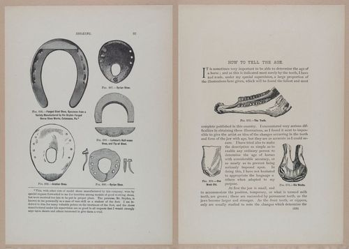 E318 - Sensible Horshoeing - i8747 - 8780