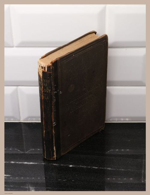 E326 - The Story of the Rocks 1873 - i0079(1)