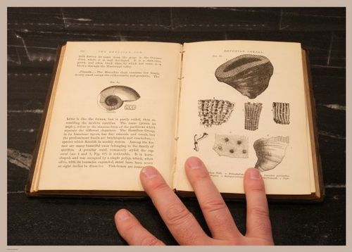E326 - The Story of the Rocks 1873 - i0079(4)