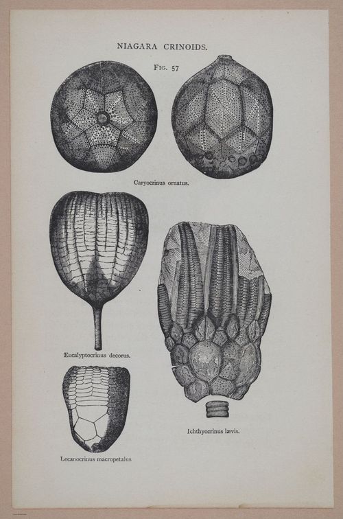 E326 - The Story of the Rocks 1873 - i9531