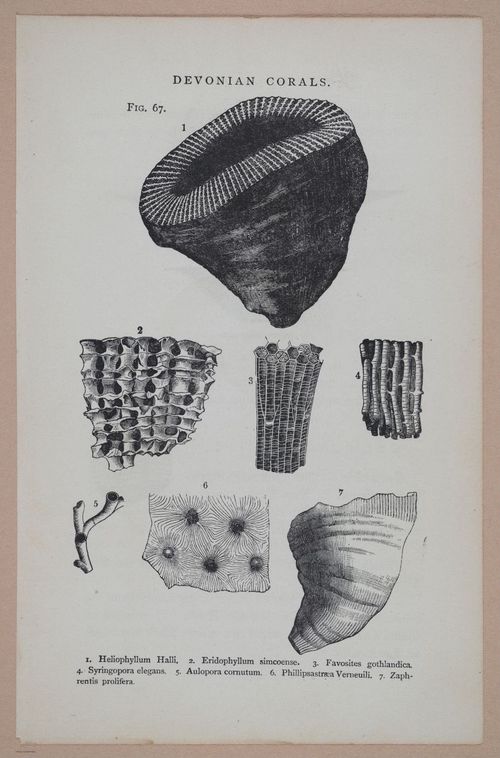E326 - The Story of the Rocks 1873 - i9548