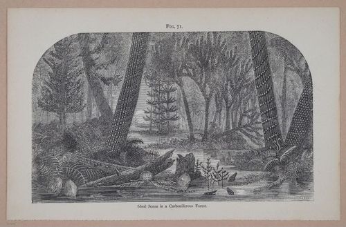 E326 - The Story of the Rocks 1873 - i9562