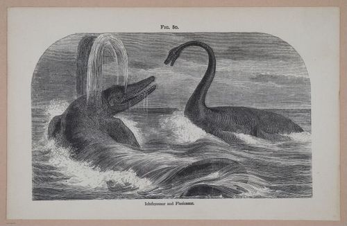 E326 - The Story of the Rocks 1873 - i9578