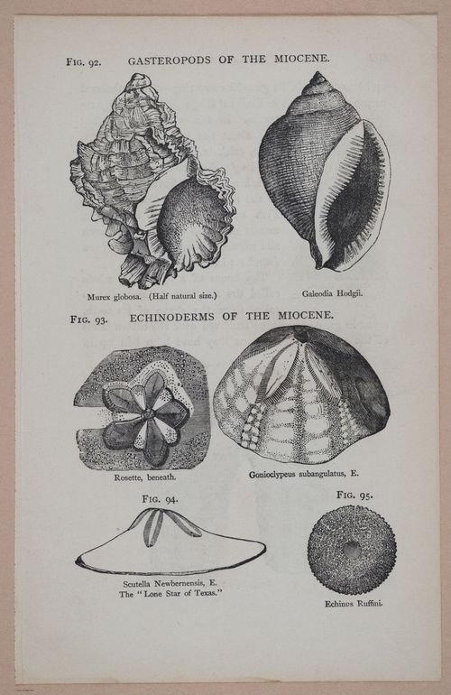 E326 - The Story of the Rocks 1873 - i9602